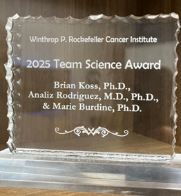2025 team award